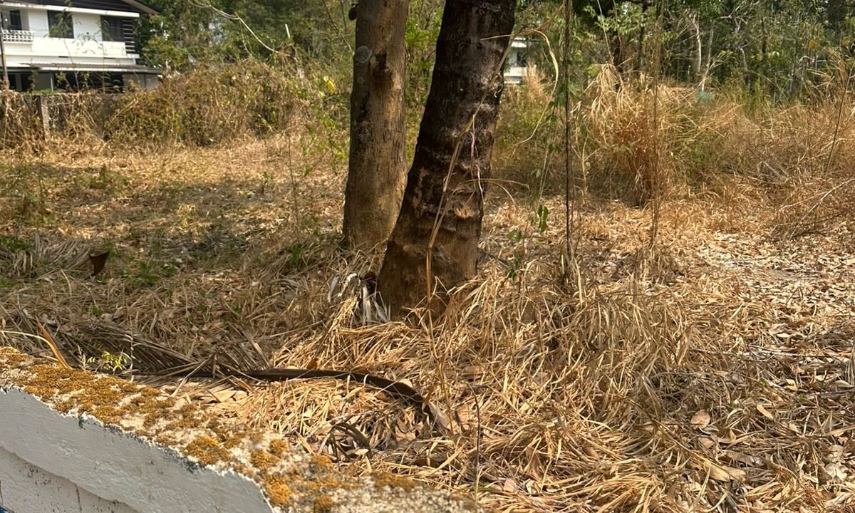 WhatsApp Image 2026-02-16 at 12.05.52 PM