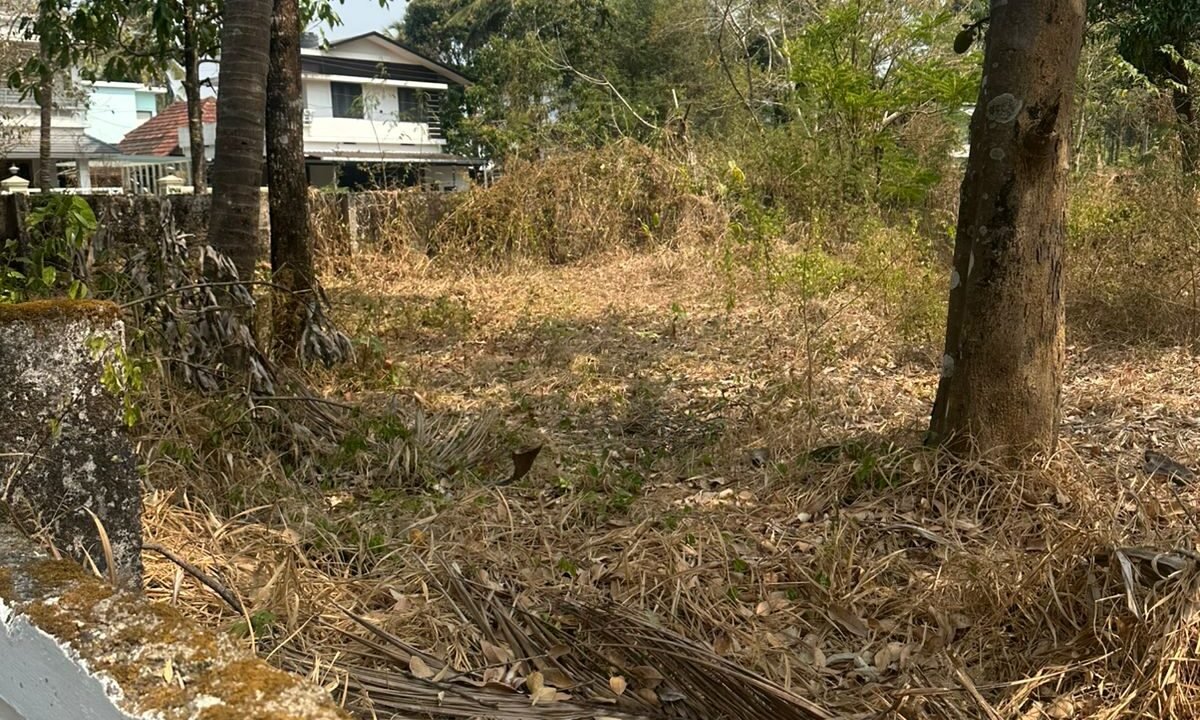 WhatsApp Image 2026-02-16 at 12.06.22 PM (1)