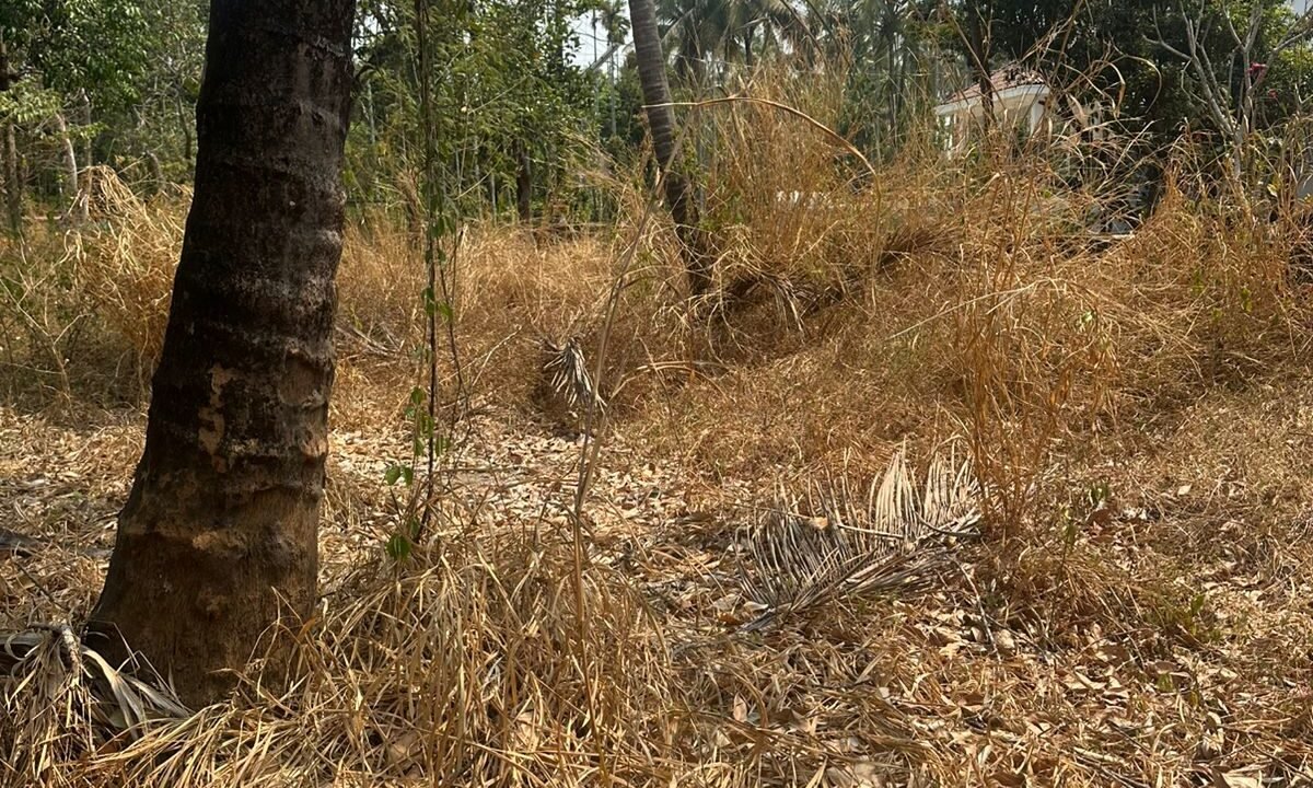 WhatsApp Image 2026-02-16 at 12.06.22 PM (2)