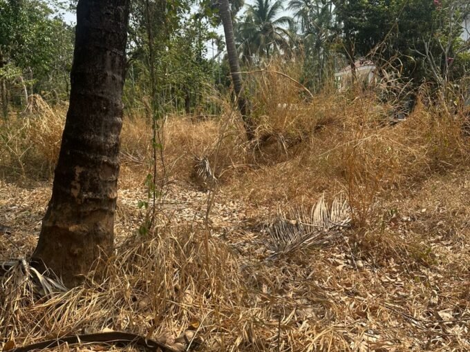 Residential Land-12.5 cents for sale in Ramavarmapuram, near milma, Thrissur.