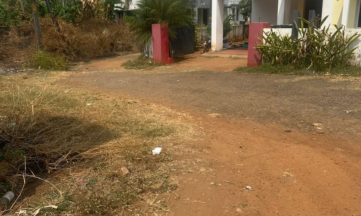 WhatsApp Image 2026-02-16 at 12.06.31 PM