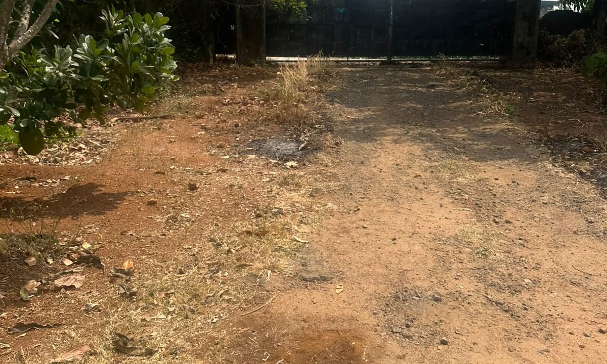 WhatsApp Image 2026-02-16 at 12.09.22 PM