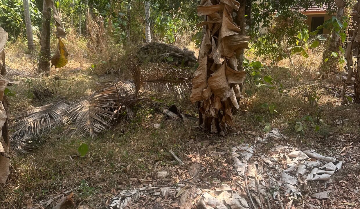 WhatsApp Image 2026-02-16 at 12.56.24 PM