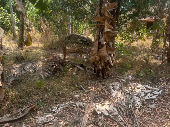 Residential land-10 cent for sale in kolazhy,Thrissur.