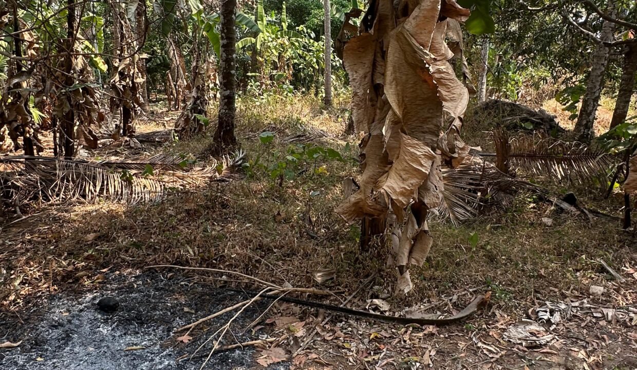 WhatsApp Image 2026-02-16 at 12.56.41 PM (1)