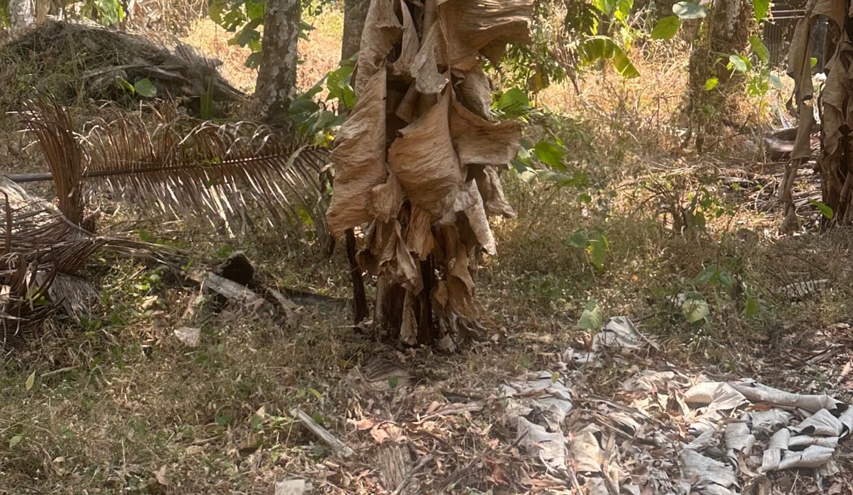 WhatsApp Image 2026-02-16 at 12.56.41 PM (2)