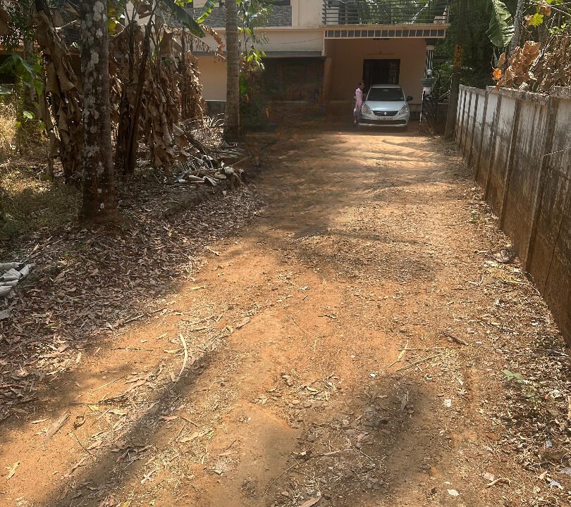 WhatsApp Image 2026-02-16 at 12.56.41 PM