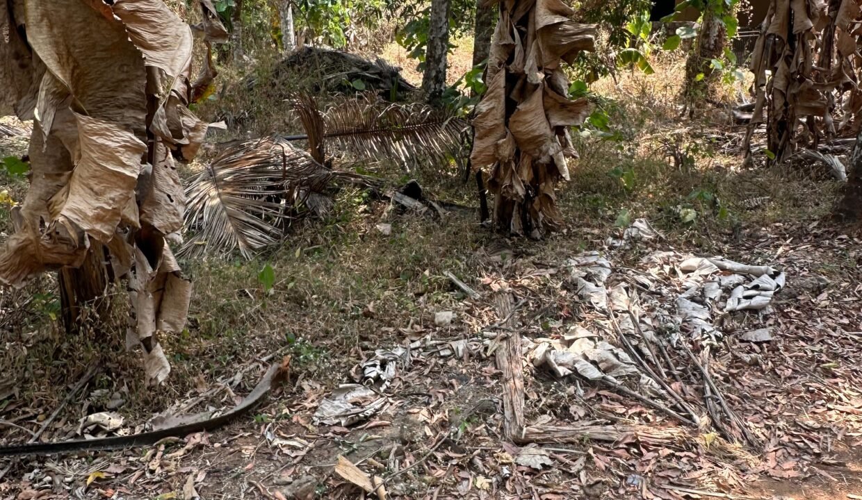 WhatsApp Image 2026-02-16 at 12.56.42 PM (1)