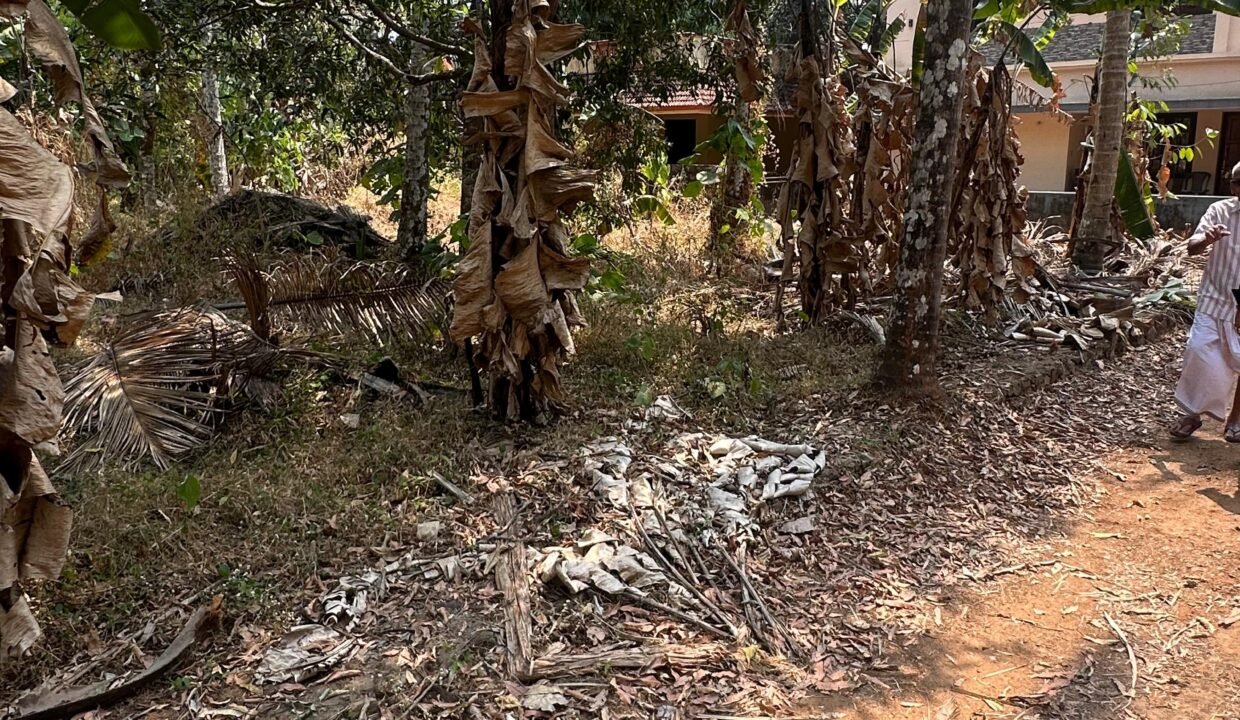 WhatsApp Image 2026-02-16 at 12.56.42 PM