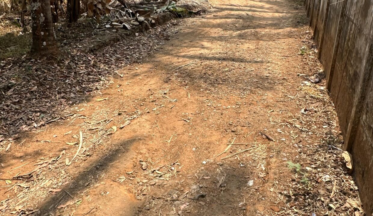 WhatsApp Image 2026-02-16 at 12.56.43 PM