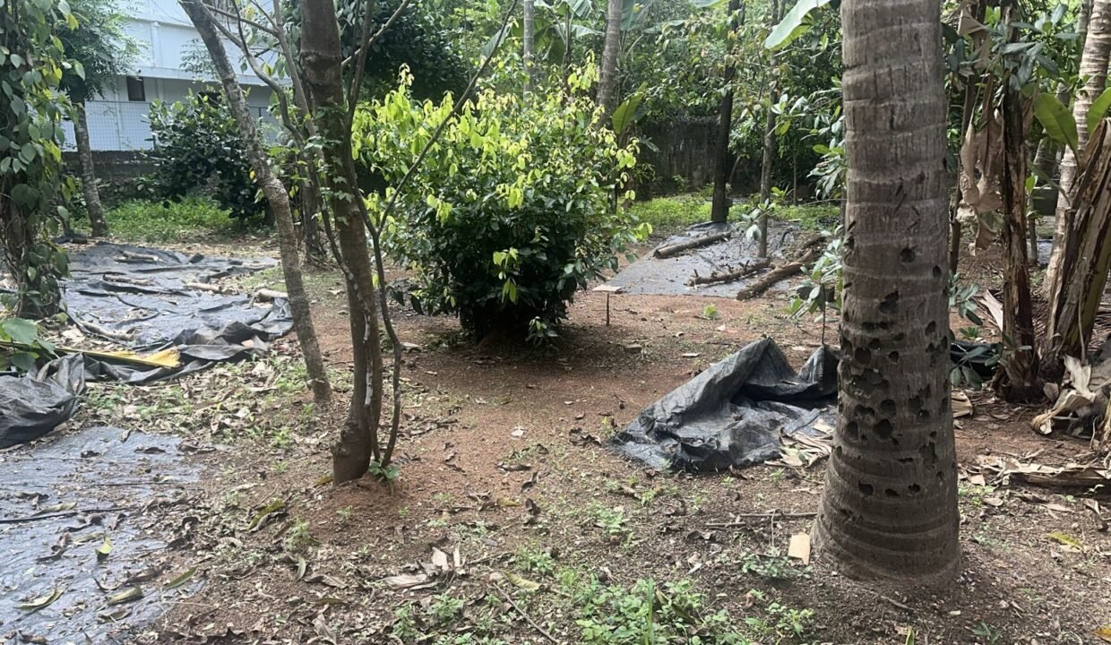 WhatsApp Image 2026-03-01 at 10.54.51 AM