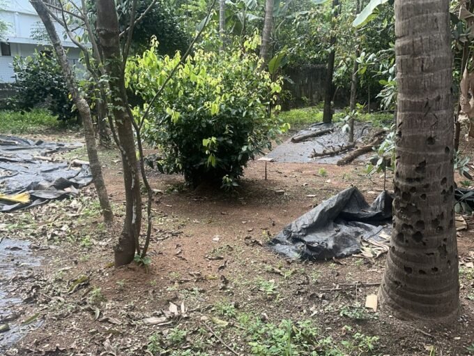 Residential Land for Sale – Kuttanellur, Thrissur| Realestate Thrissur