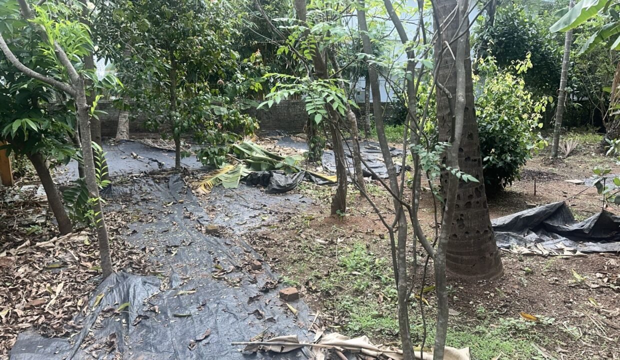 WhatsApp Image 2026-03-01 at 10.55.00 AM