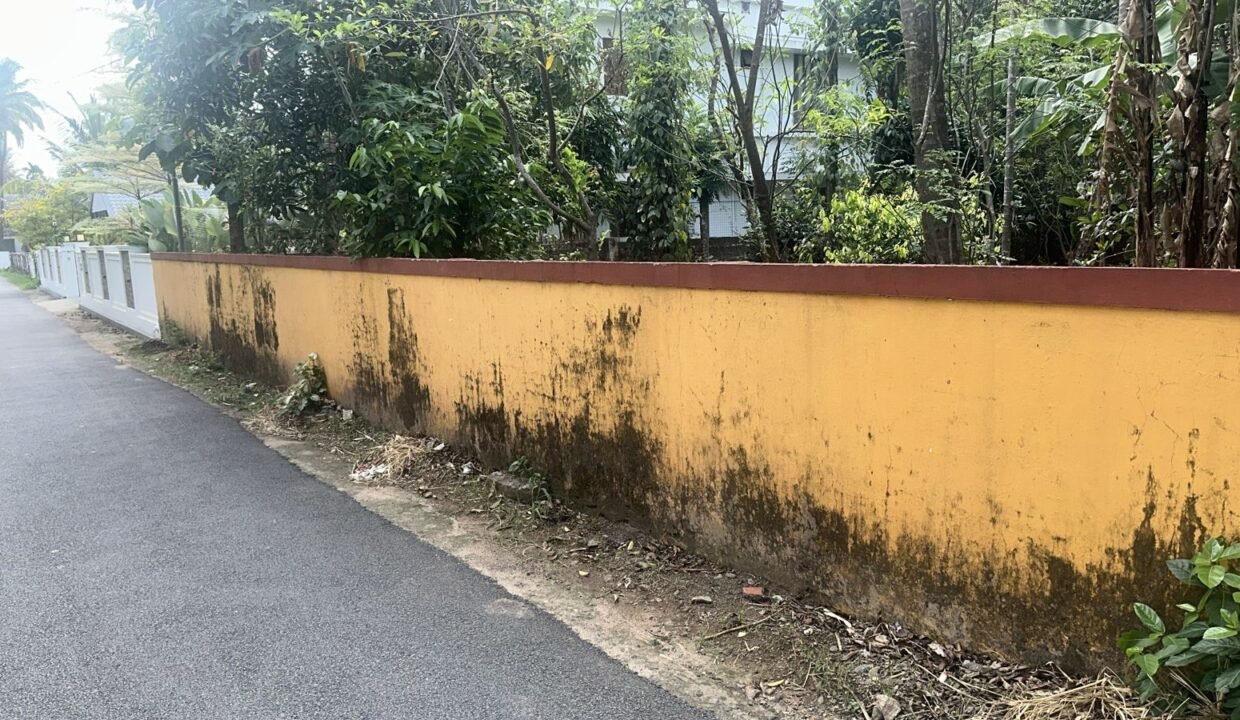 WhatsApp Image 2026-03-01 at 10.55.30 AM