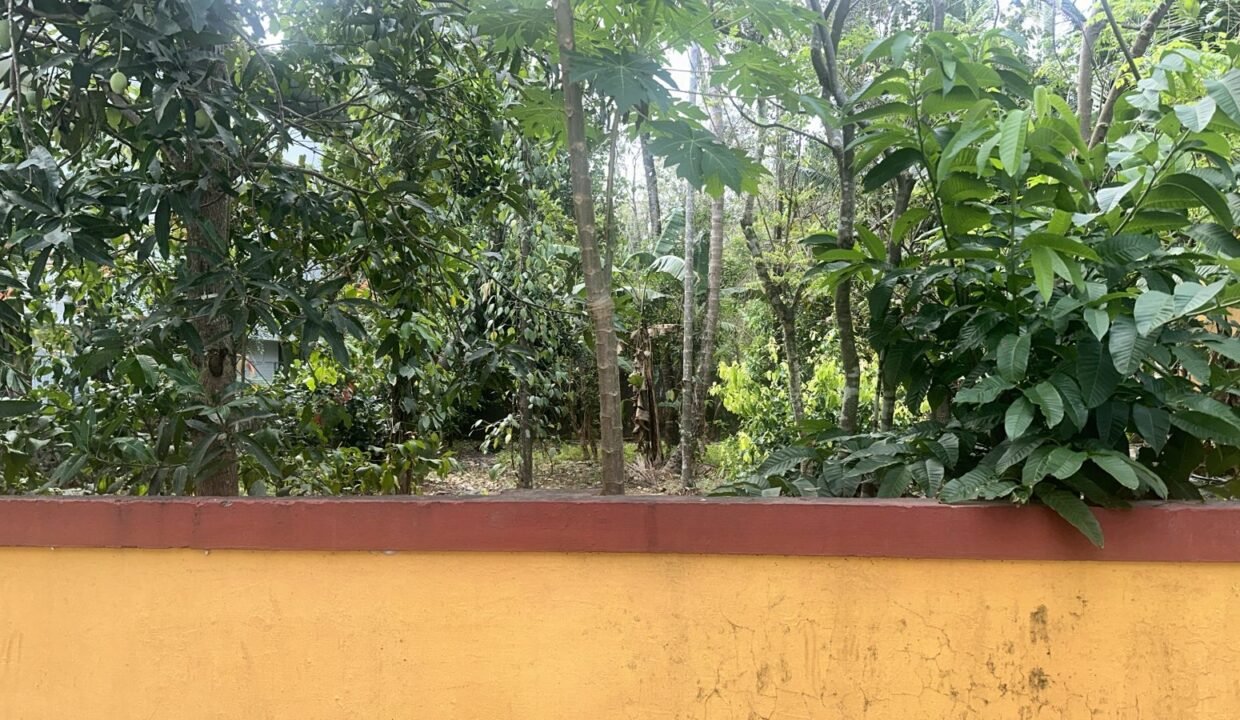 WhatsApp Image 2026-03-01 at 10.55.54 AM