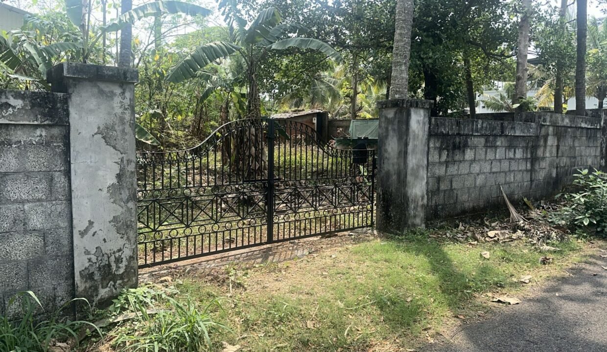 WhatsApp Image 2026-03-01 at 11.24.53 AM