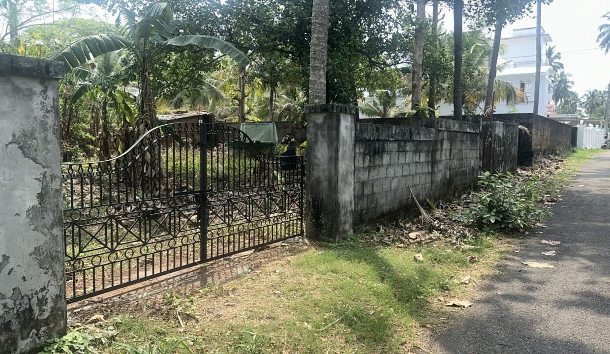 WhatsApp Image 2026-03-01 at 11.24.58 AM