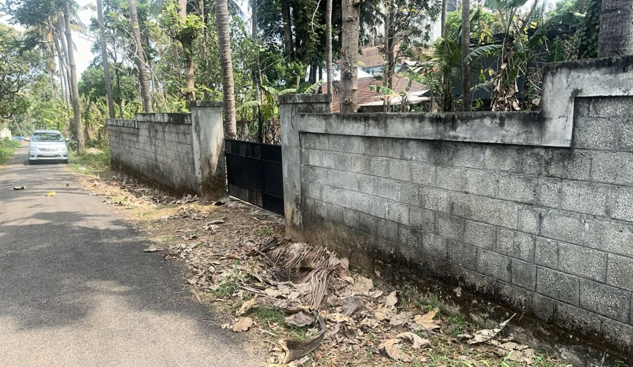 WhatsApp Image 2026-03-01 at 11.25.04 AM