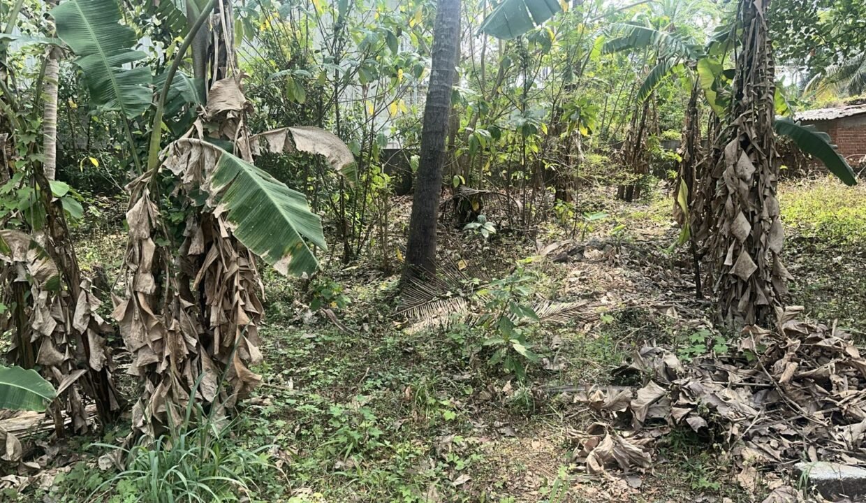 WhatsApp Image 2026-03-01 at 11.25.15 AM