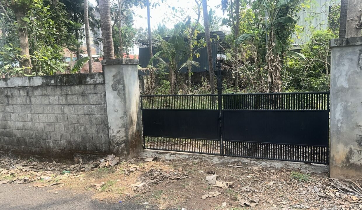 WhatsApp Image 2026-03-01 at 11.25.32 AM