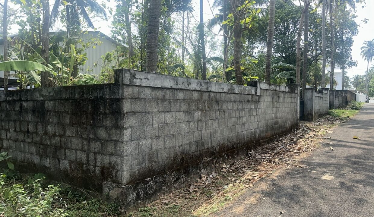 WhatsApp Image 2026-03-01 at 11.25.54 AM