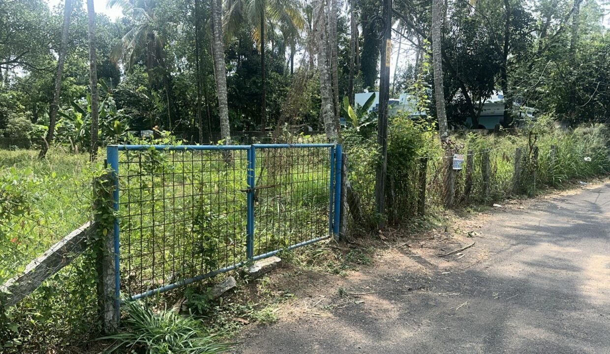 WhatsApp Image 2026-03-01 at 11.34.04 AM