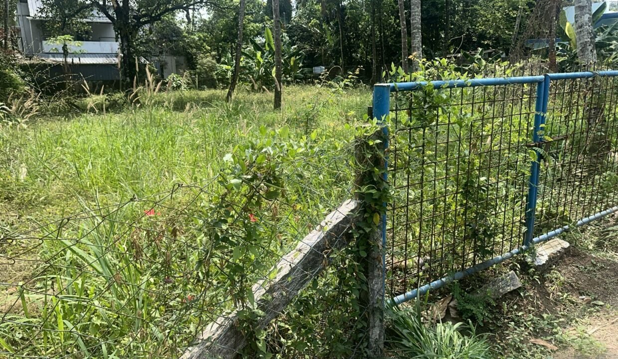 WhatsApp Image 2026-03-01 at 11.34.23 AM