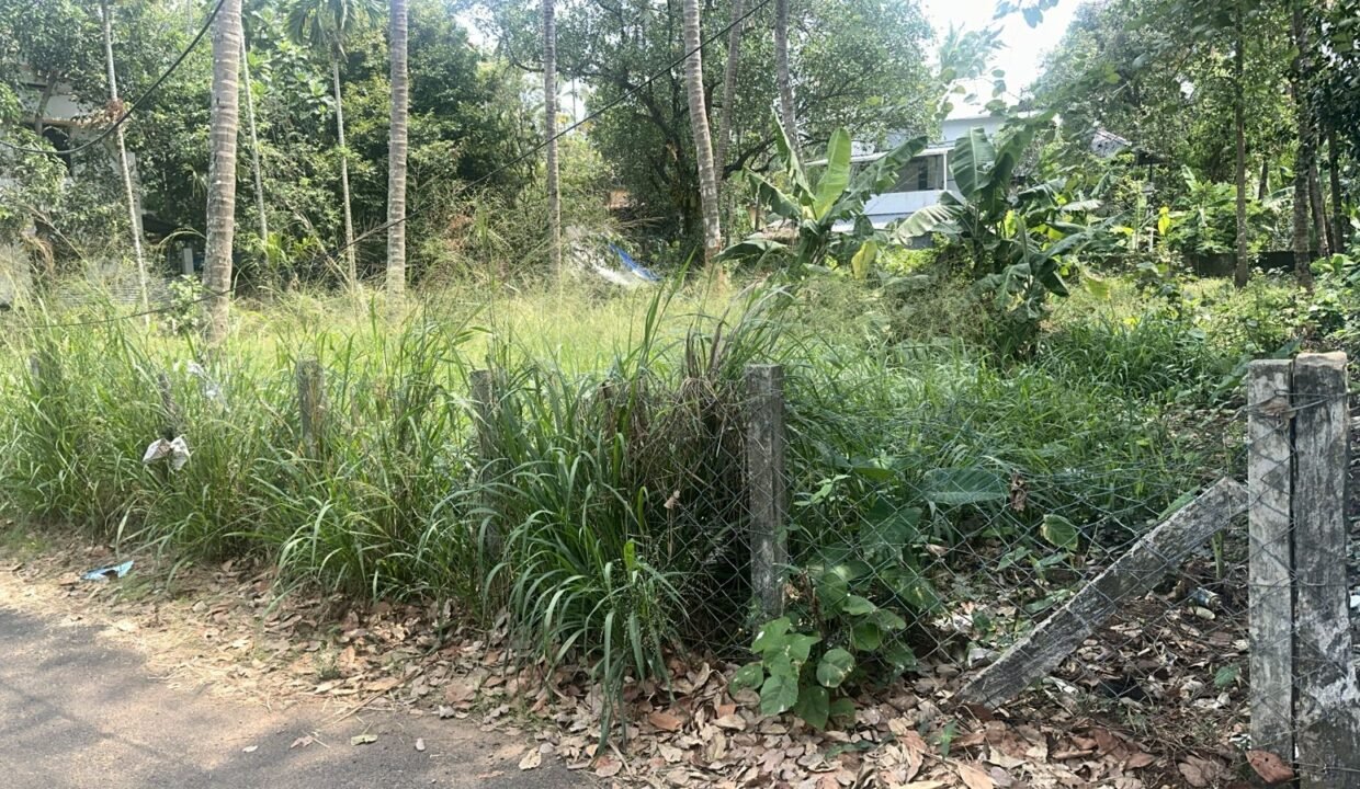 WhatsApp Image 2026-03-01 at 11.35.26 AM