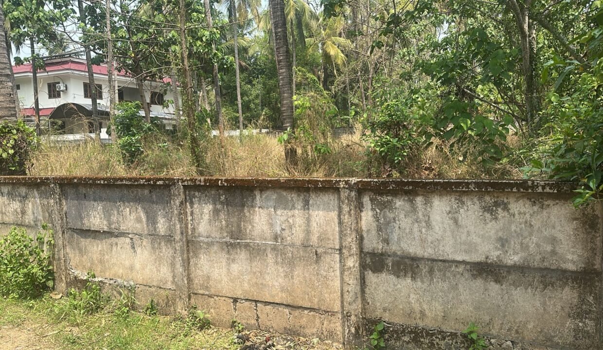 WhatsApp Image 2026-03-08 at 11.55.23 AM