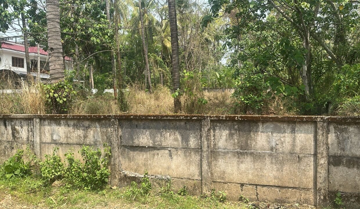 WhatsApp Image 2026-03-08 at 11.55.45 AM