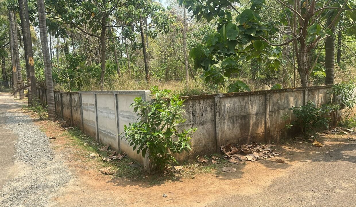 WhatsApp Image 2026-03-08 at 11.56.17 AM