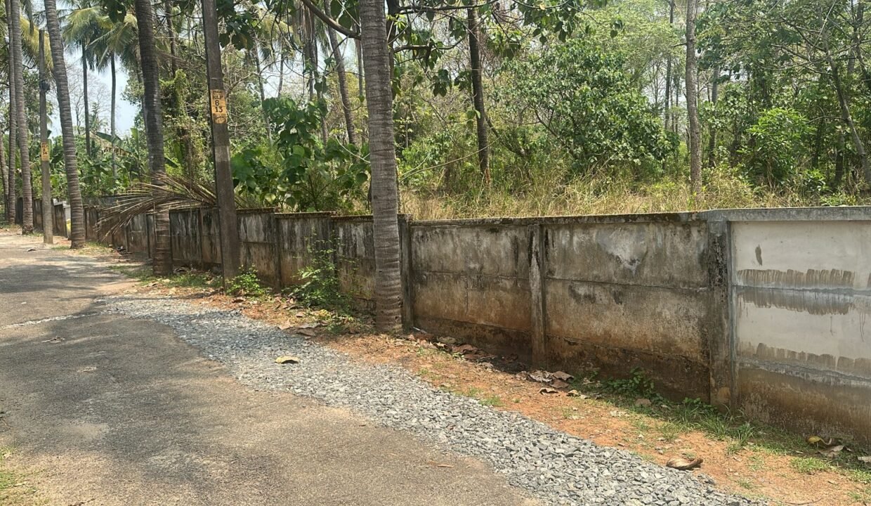 WhatsApp Image 2026-03-08 at 11.56.32 AM