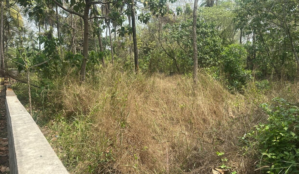 WhatsApp Image 2026-03-08 at 11.56.44 AM