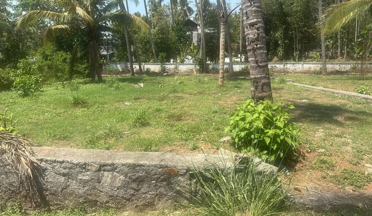 WhatsApp Image 2026-03-10 at 1.33.59 PM