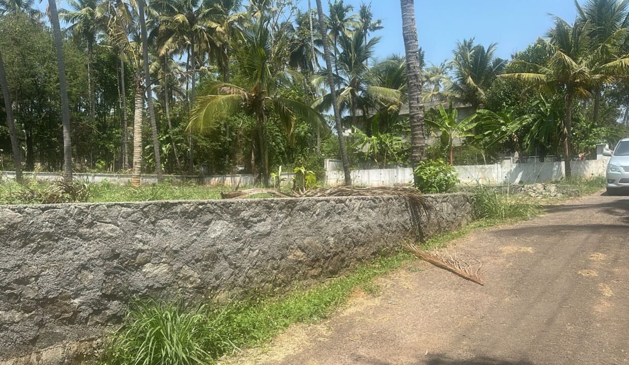 WhatsApp Image 2026-03-10 at 1.34.12 PM