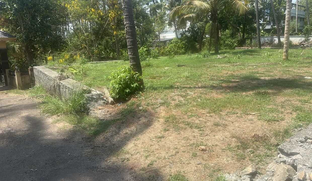 WhatsApp Image 2026-03-10 at 1.34.41 PM