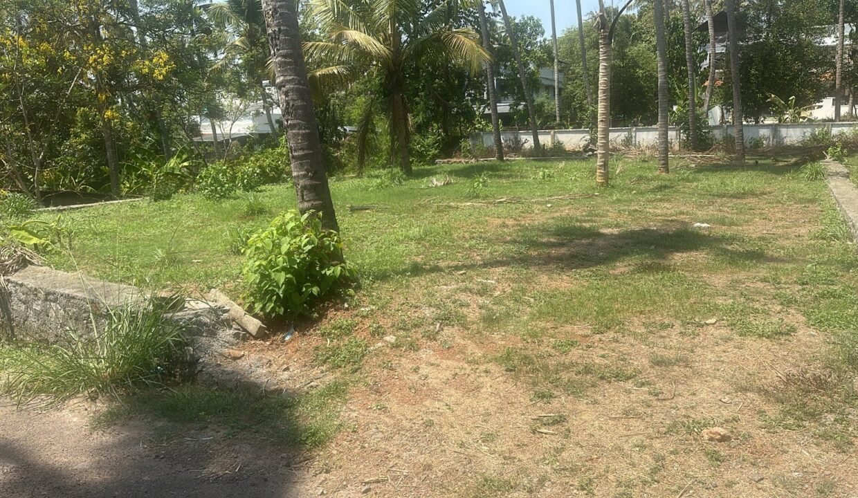 WhatsApp Image 2026-03-10 at 1.34.49 PM