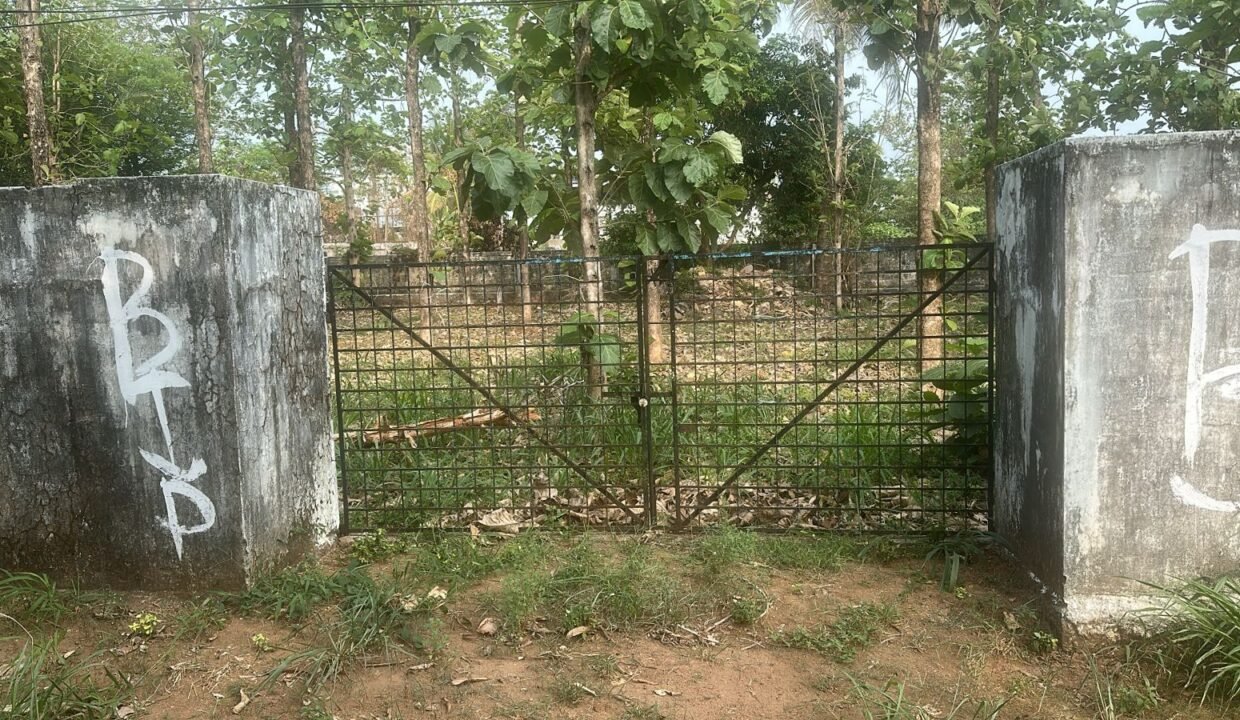 WhatsApp Image 2026-03-16 at 3.59.02 PM