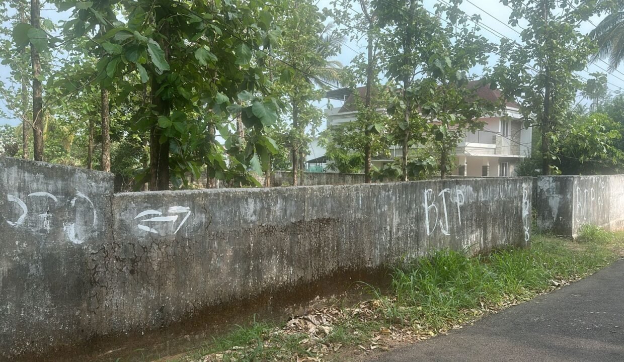 WhatsApp Image 2026-03-16 at 3.59.51 PM