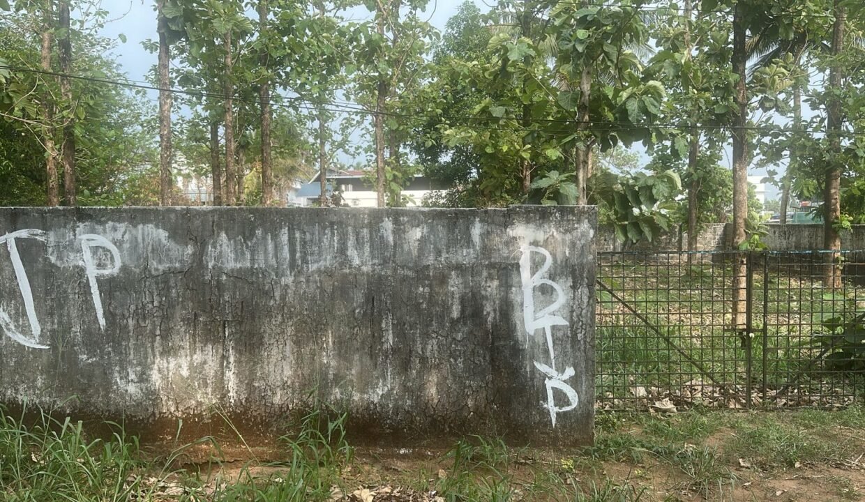 WhatsApp Image 2026-03-16 at 4.00.28 PM