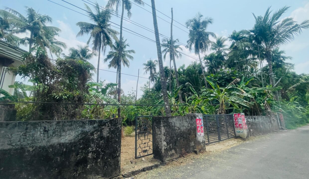 WhatsApp Image 2026-03-16 at 6.20.00 PM (1)