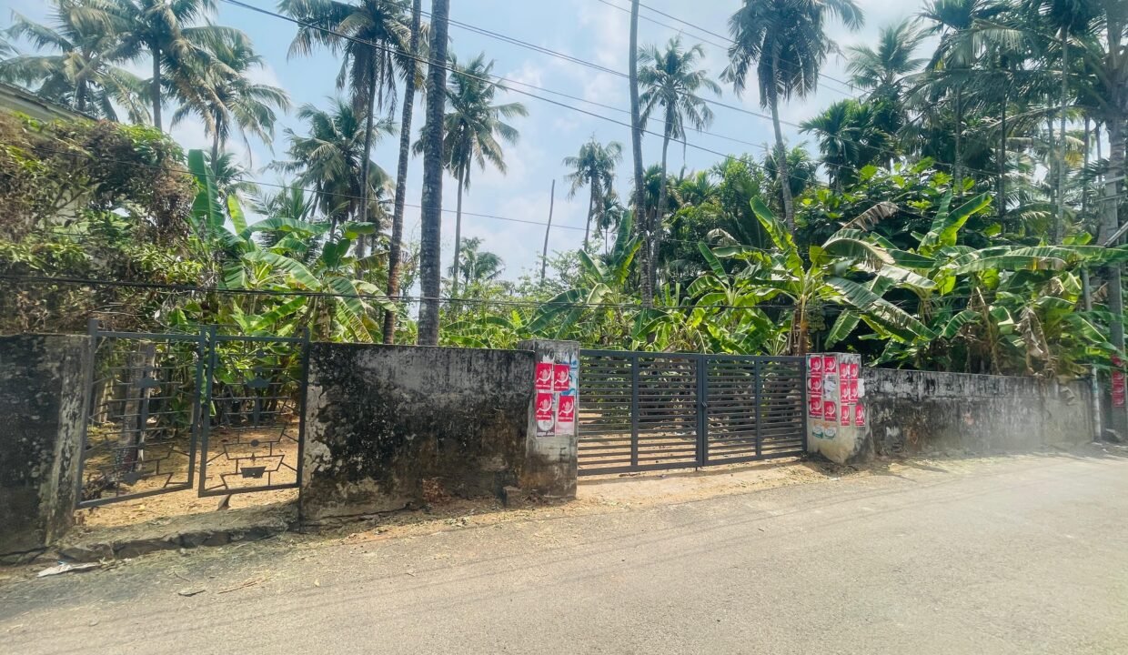 WhatsApp Image 2026-03-16 at 6.20.00 PM