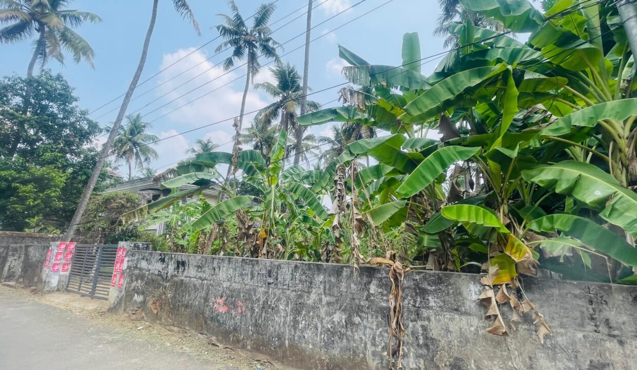 WhatsApp Image 2026-03-16 at 6.20.00 PM (2)