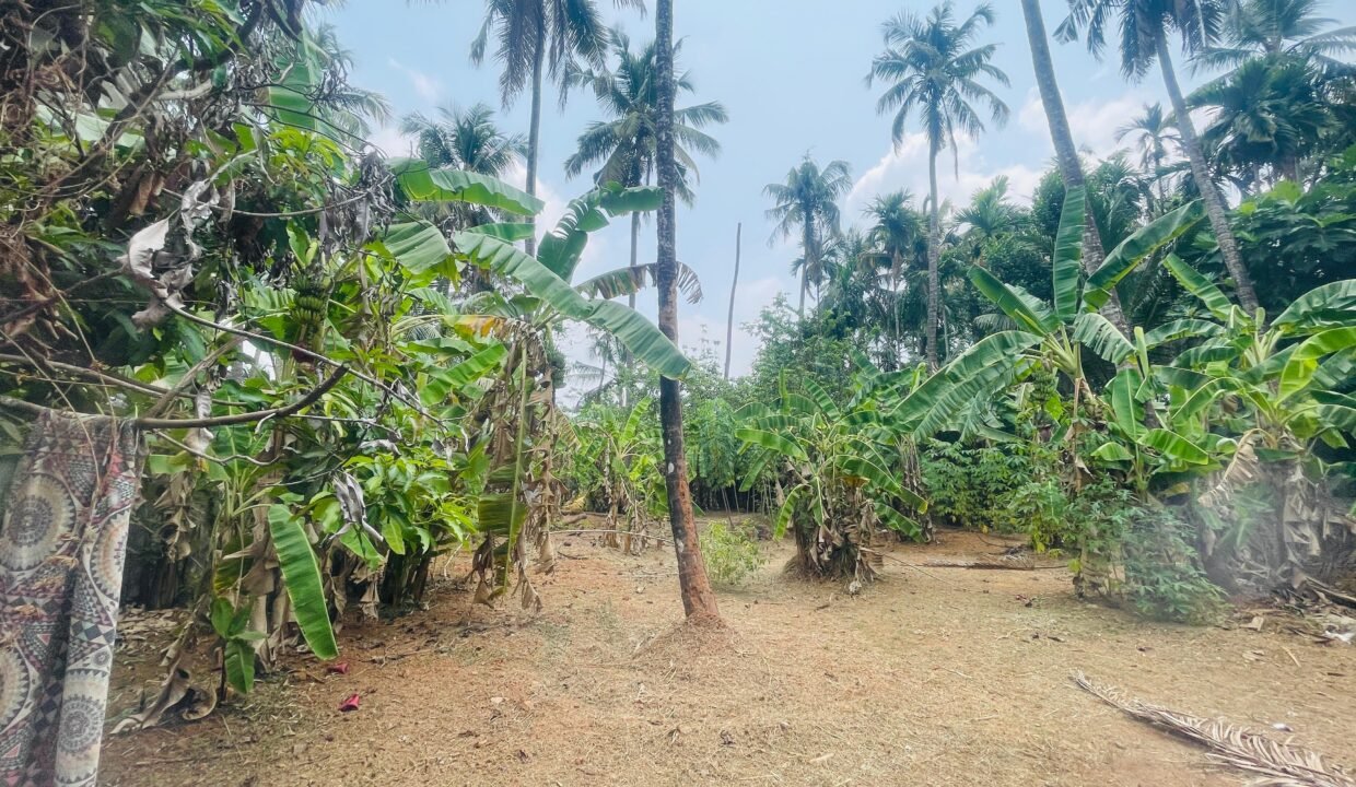 WhatsApp Image 2026-03-16 at 6.20.01 PM (1)