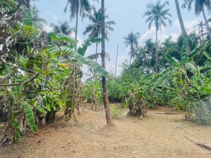 Residential Land-17 cent for sale in Chiyyaram , Near Gallie , Thrissur.