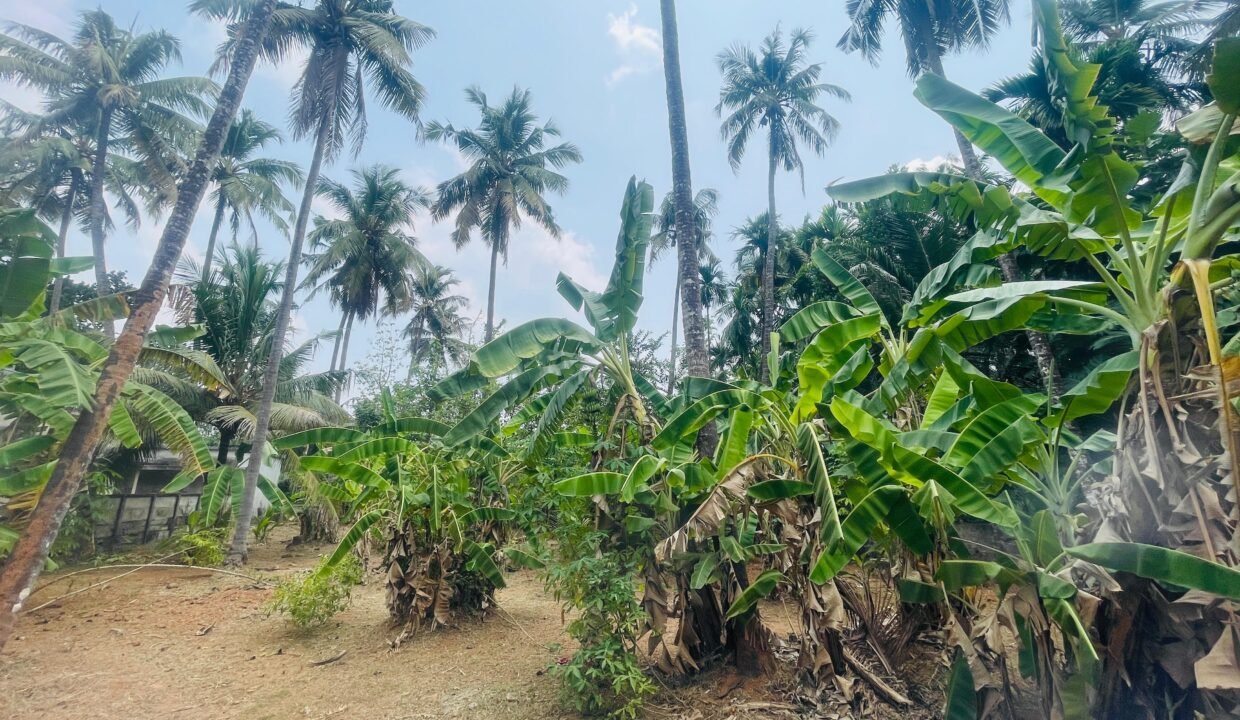 WhatsApp Image 2026-03-16 at 6.20.01 PM