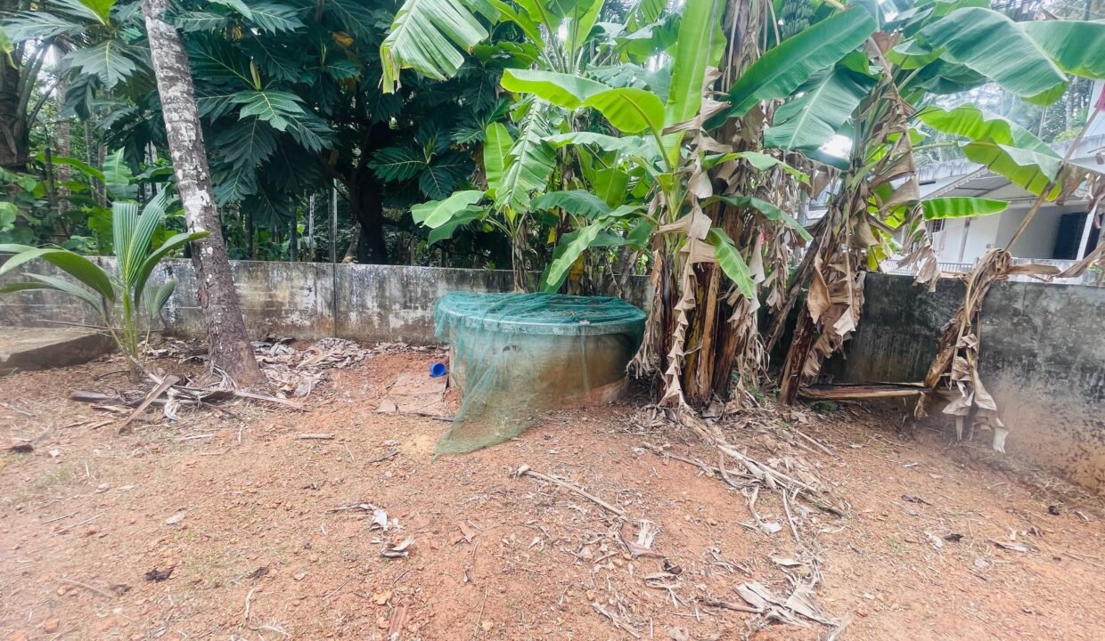 WhatsApp Image 2026-03-16 at 6.20.02 PM (1)