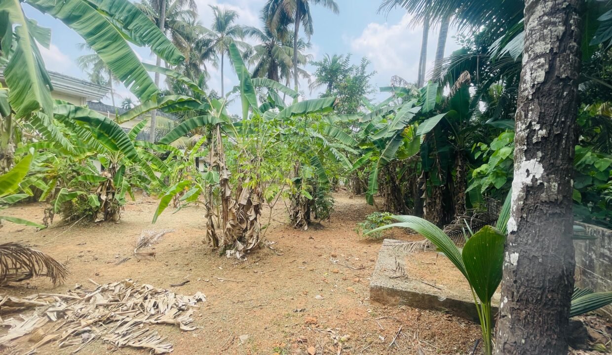 WhatsApp Image 2026-03-16 at 6.20.02 PM