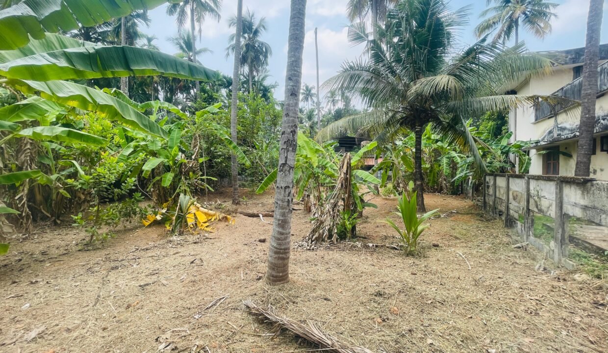 WhatsApp Image 2026-03-16 at 6.20.03 PM (1)