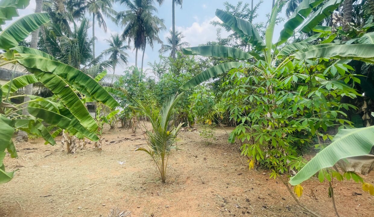 WhatsApp Image 2026-03-16 at 6.20.03 PM